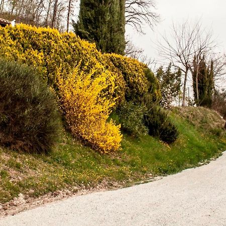 Calmancino Delle Selve Bed & Breakfast Urbino Exterior foto