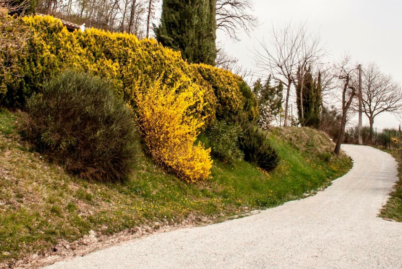 Calmancino Delle Selve Bed & Breakfast Urbino Exterior foto