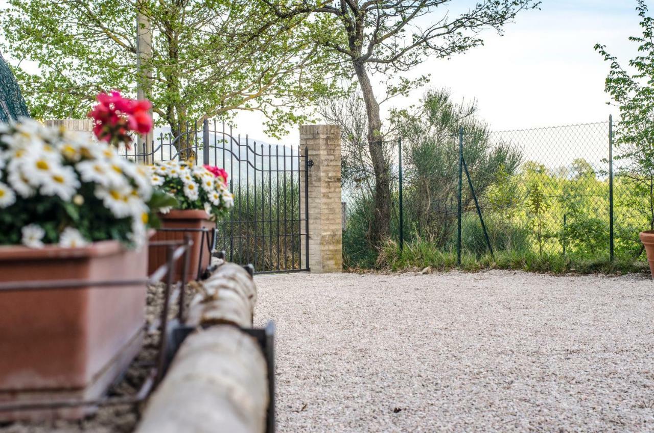 Calmancino Delle Selve Bed & Breakfast Urbino Exterior foto