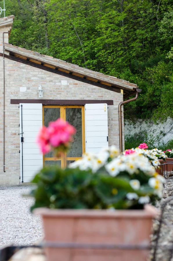 Calmancino Delle Selve Bed & Breakfast Urbino Exterior foto