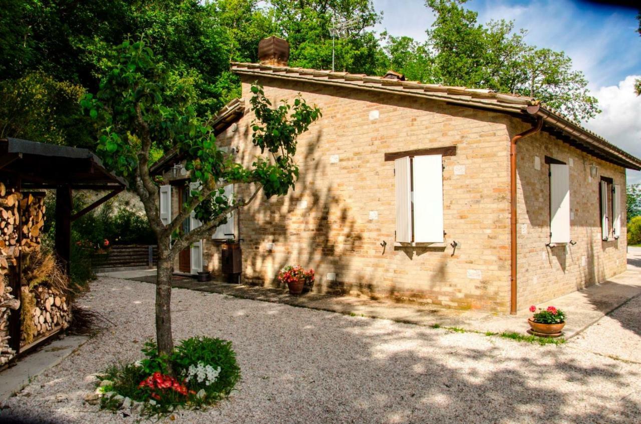 Calmancino Delle Selve Bed & Breakfast Urbino Exterior foto