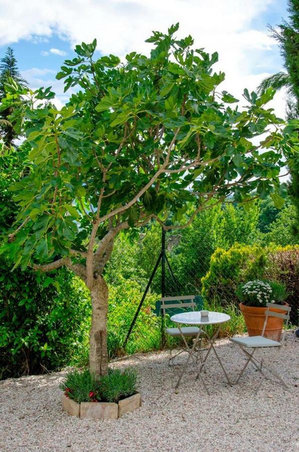 Calmancino Delle Selve Bed & Breakfast Urbino Exterior foto