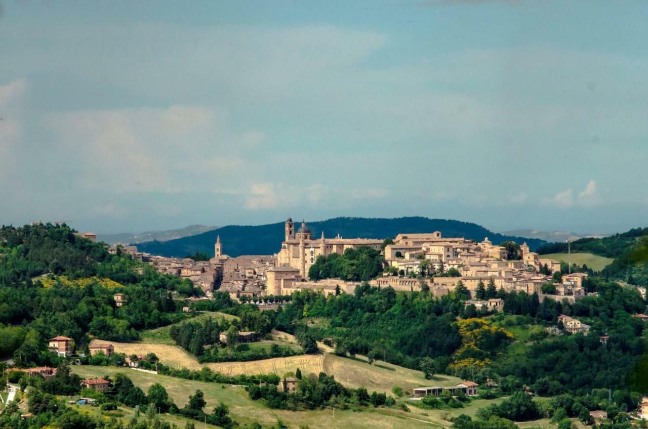 Calmancino Delle Selve Bed & Breakfast Urbino Exterior foto