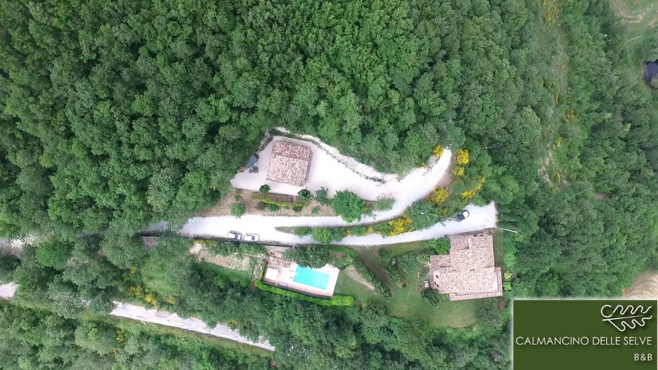 Calmancino Delle Selve Bed & Breakfast Urbino Exterior foto