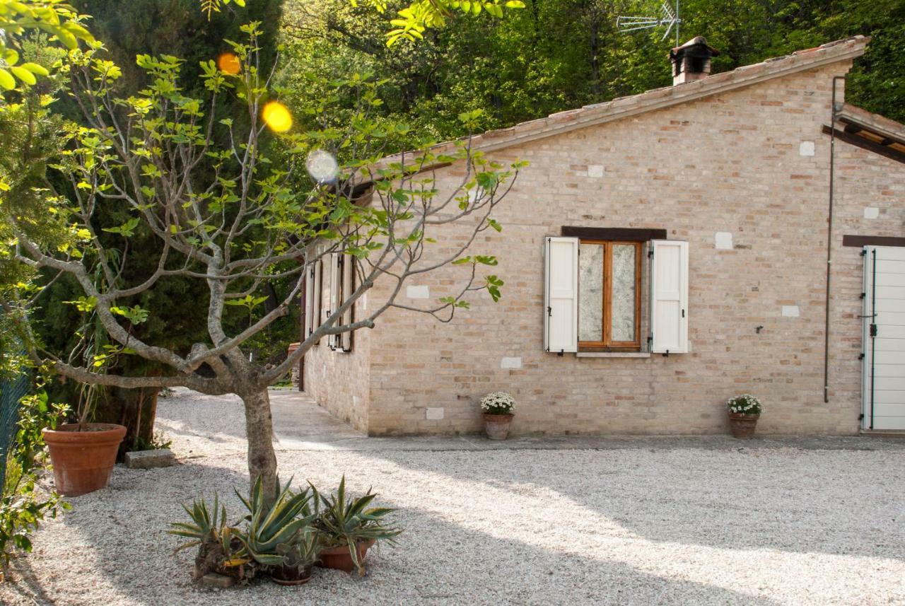 Calmancino Delle Selve Bed & Breakfast Urbino Exterior foto