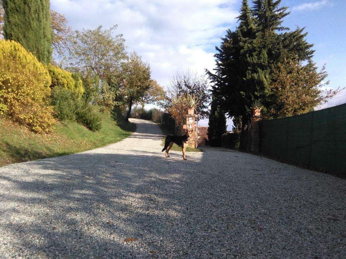Calmancino Delle Selve Bed & Breakfast Urbino Exterior foto